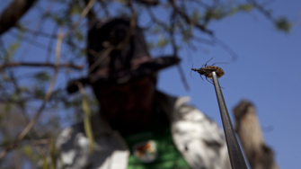 5 recomendações sobre a COVID-19 para pessoas que vivem com Chagas
